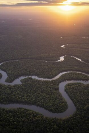 Amazonia americana. Amazonia americana: Bosques recónditos