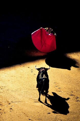 San Fermín en Navarra Televisión. T(T2025). San Fermín en... (T2025): Chupinazo de San Fermín