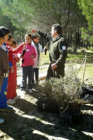 Hazte eco. Hazte eco: Ep.355