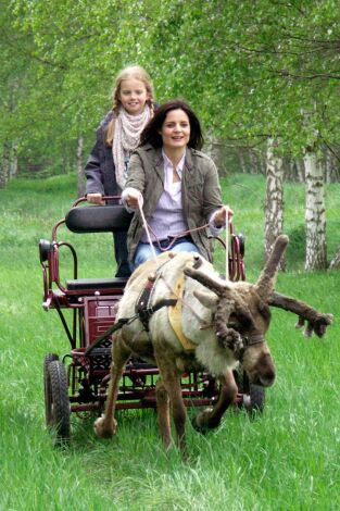 Doctora en el Zoo. T(T4). Doctora en el Zoo (T4): Ep.3 