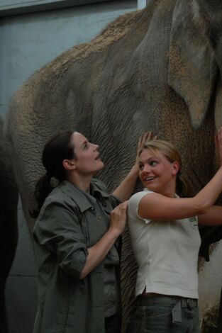 Doctora en el Zoo. T(T7). Doctora en el Zoo (T7)