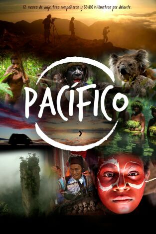 Pacífico. Pacífico: El triángulo del coral