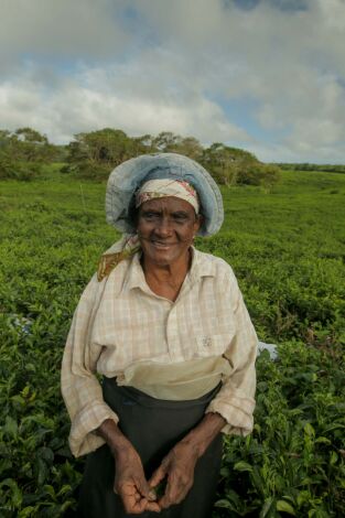 Ile Maurice, la douceur de l'océan Indien