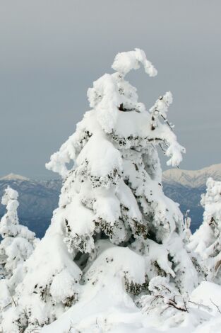 Japón, las cuatro estaciones. Japón, las cuatro...: Otoño e invierno