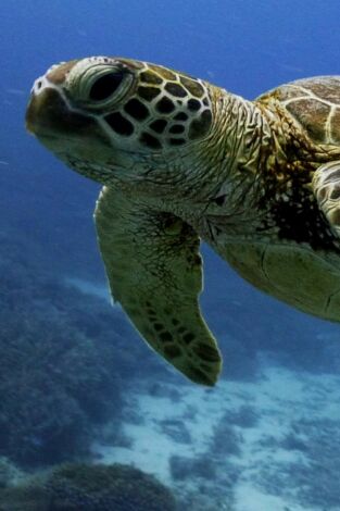 Islas Secretas de Australia