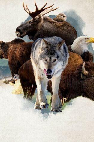 América: paisajes extraordinarios: El corazón de Norteamérica