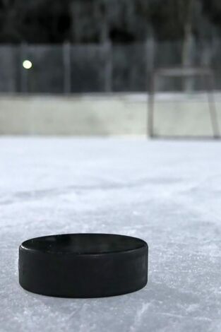 Liga Nacional de Hockey Hielo