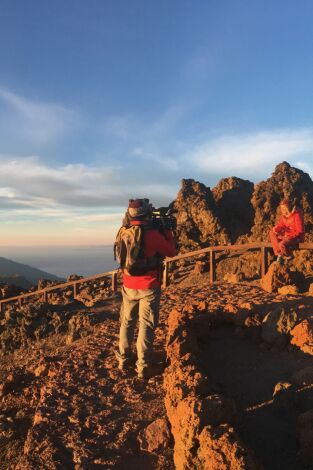 80 cm. T(T3). 80 cm (T3): La Palma
