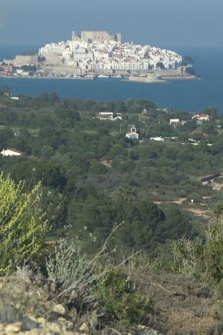 80 cm. T(T3). 80 cm (T3): Sierra de Irta