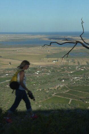 80 cm. T(T3). 80 cm (T3): Delta del Ebro