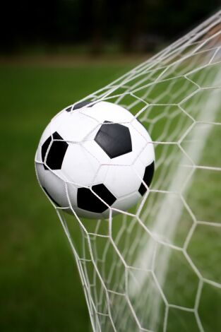 Copa del Rey. T(94/95). Copa del Rey (94/95)