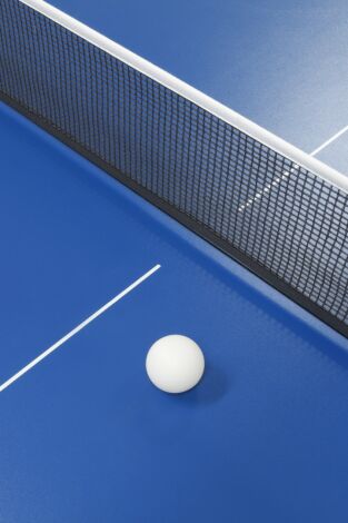 Copas de SSMM Los Reyes de tenis de mesa
