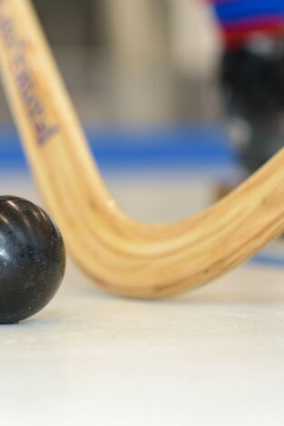 Copa de SM el Rey de hockey sobre patines: Lleida - Reus Deportiu