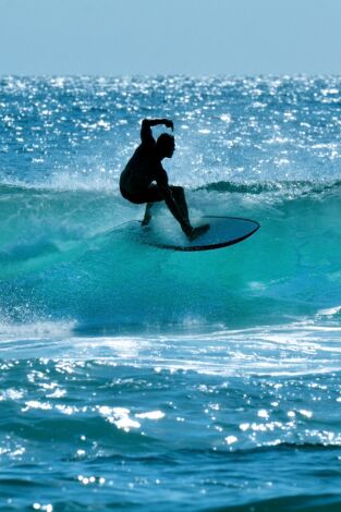 Surfing.es