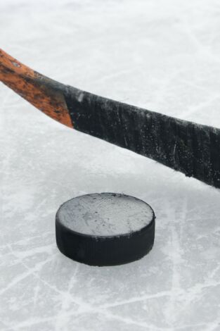 Mundial de hockey patines