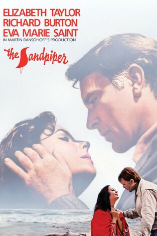 Castillos en la arena