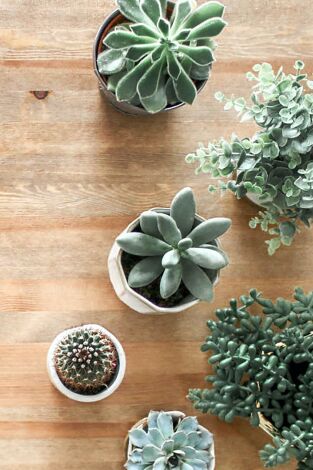 Yo vivo en. T(T1). Yo vivo en (T1): Una casa cueva