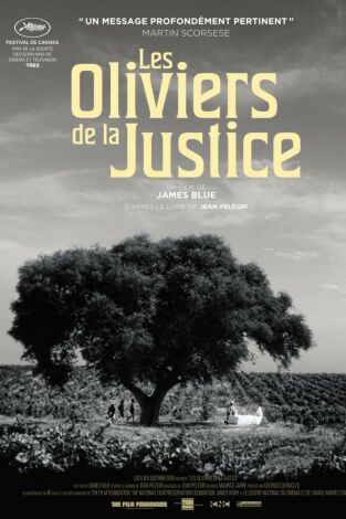 Les Oliviers de la justice