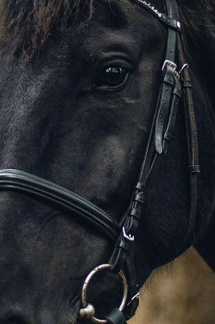 Equitation : Jumping international de Dinard