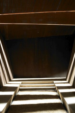 Animals arquitectes. T(T1). Animals arquitectes (T1): Mesura