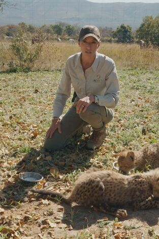 Dra. Fabiola Jones. T(T1). Dra. Fabiola Jones (T1): Los héroes invisibles