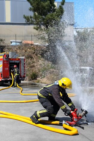 Alarma 080