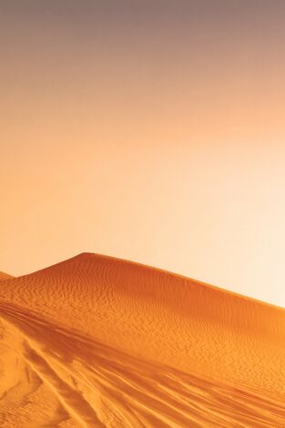 Programas Extreme E. T(2023). Programas Extreme E (2023): Head - To - Head Finals