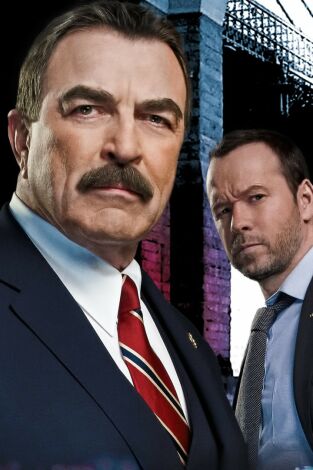 Blue Bloods (Familia de policías). T(T5). Blue Bloods... (T5): Ep.9 En el punto de mira