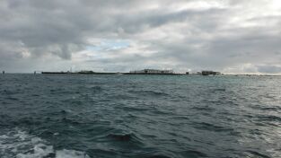 Wild Hawaii. Wild Hawaii 