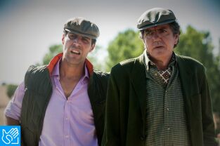 (LSE) - Gigantes. T(T1). (LSE) - Gigantes (T1): Ep.4 (LSE) - Cicatrices