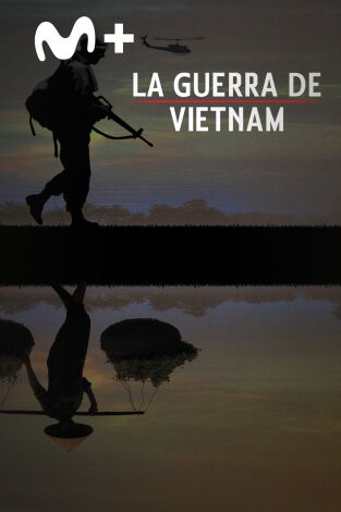 La Guerra de Vietnam. La Guerra de Vietnam 