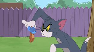 El show de Tom y Jerry. T(T3). El show de Tom y... (T3): Buscando el amor