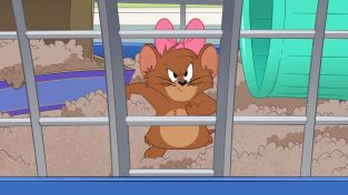 El show de Tom y Jerry. T(T3). El show de Tom y... (T3): Hámsteres por doquier