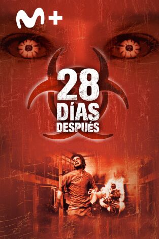 28 días después