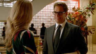 Bull. T(T3). Bull (T3)