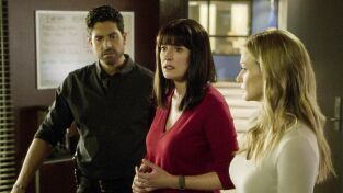 Mentes criminales. T(T14). Mentes criminales (T14): Ep.10 Carne de su carne