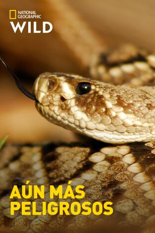 Aún más peligrosos