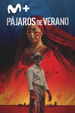 Pájaros de verano