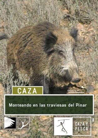 Monteando en las traviesas del Pinar