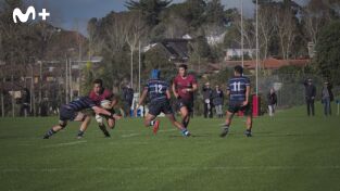 Historia del rugby. Historia del rugby: Un deporte profesional