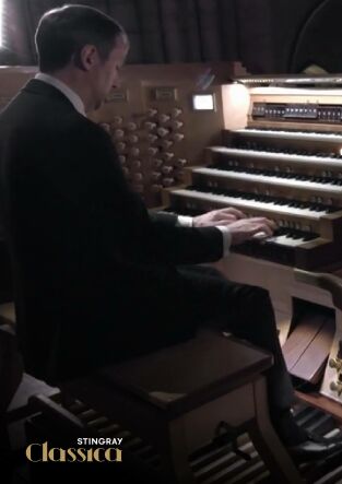 In the Organ's Stomach