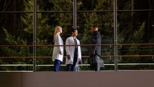 The Good Doctor. T(T3). The Good Doctor (T3): Ep.17 Fijación