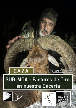Sub Moa. T(T1). Sub Moa (T1): Factores de tiro en nuestra cacería
