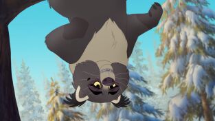 La Guardia del León. T(T3). La Guardia del León (T3): La pequeña anciana ginterón