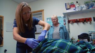 Una veterinaria todoterreno. Una veterinaria...: Osos en el avión