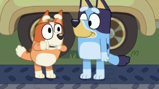 Bluey. T(T1). Bluey (T1): Acampada