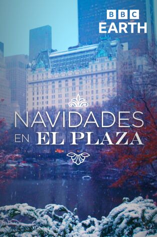 Navidades en el Plaza