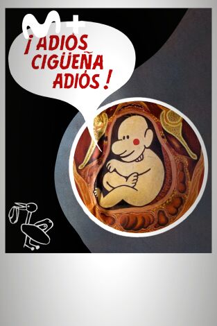 Adiós, cigüeña, adiós
