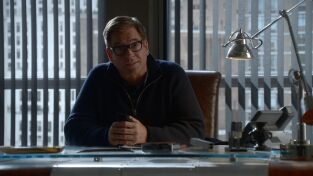 Bull. T(T5). Bull (T5)