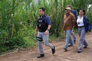Magnum. T(T2). Magnum (T2): Ep.10 Hermanos de sangre